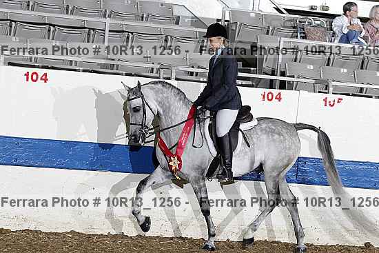 Proof Number 10r13_1256