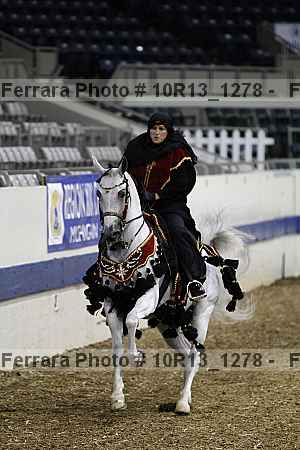 Proof Number 10r13_1278