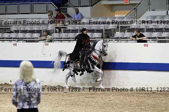 Proof Number 10r13_1282