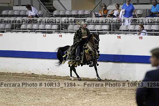 Proof Number 10r13_1284