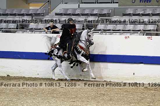 Proof Number 10r13_1286