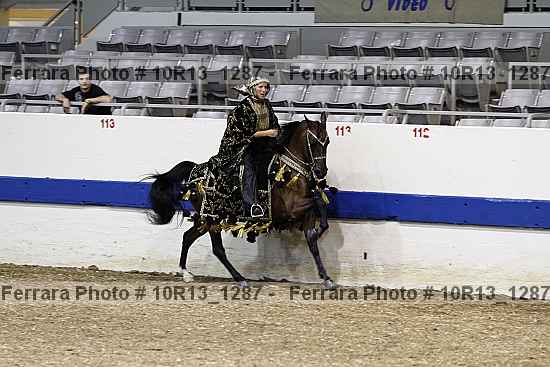 Proof Number 10r13_1287