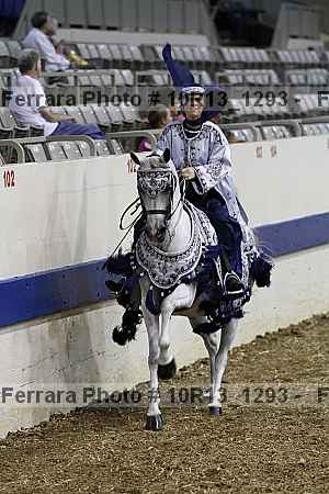 Proof Number 10r13_1293