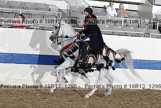 Proof Number 10r13_1296