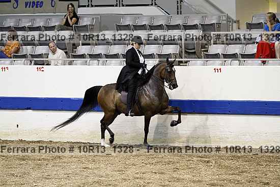 Proof Number 10r13_1328