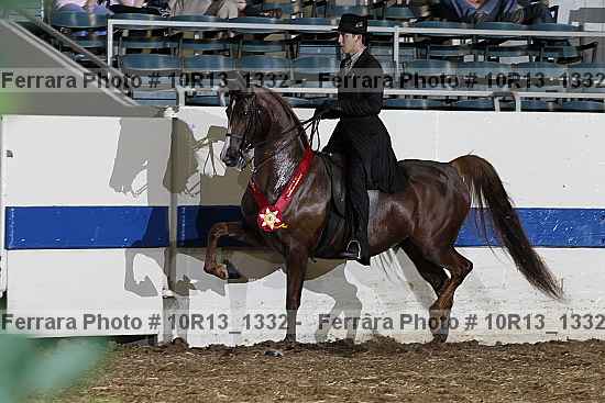 Proof Number 10r13_1332