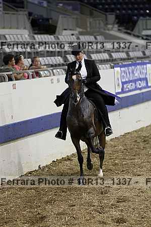 Proof Number 10r13_1337