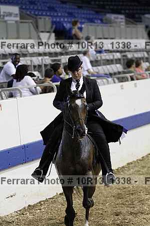Proof Number 10r13_1338