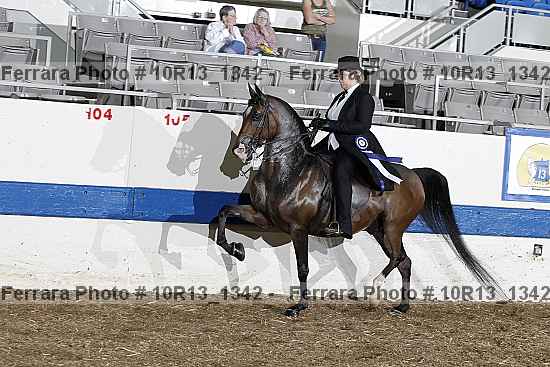 Proof Number 10r13_1342