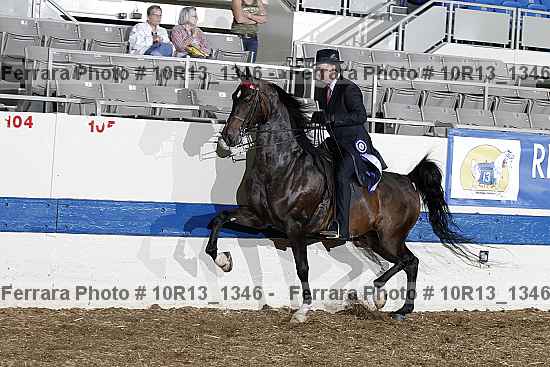 Proof Number 10r13_1346