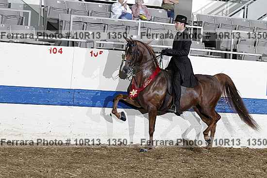 Proof Number 10r13_1350