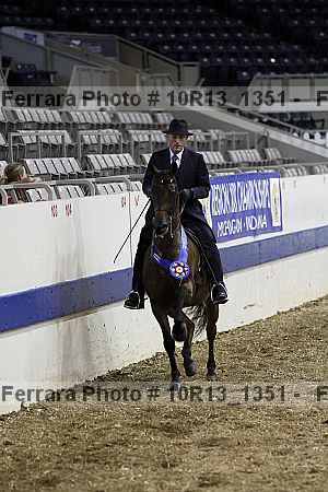 Proof Number 10r13_1351