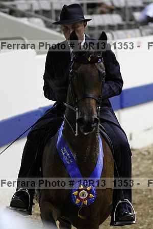 Proof Number 10r13_1353