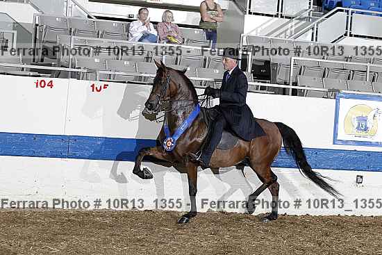 Proof Number 10r13_1355