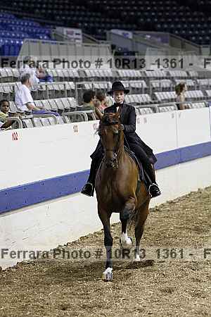 Proof Number 10r13_1361