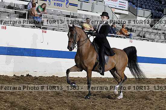 Proof Number 10r13_1363