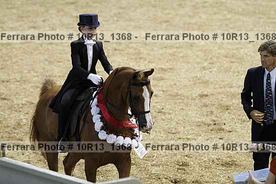 Proof Number 10r13_1368