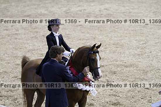 Proof Number 10r13_1369