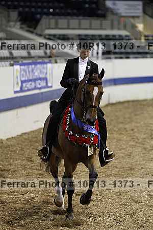 Proof Number 10r13_1373