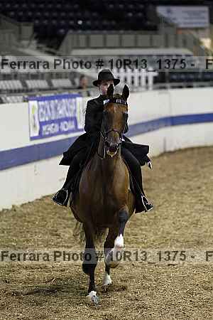 Proof Number 10r13_1375
