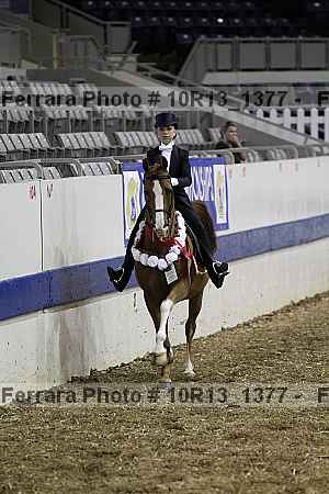 Proof Number 10r13_1377