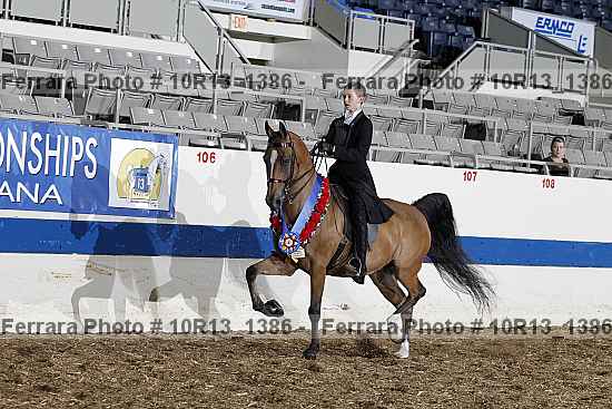Proof Number 10r13_1386
