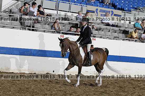 Proof Number 10r13_1390