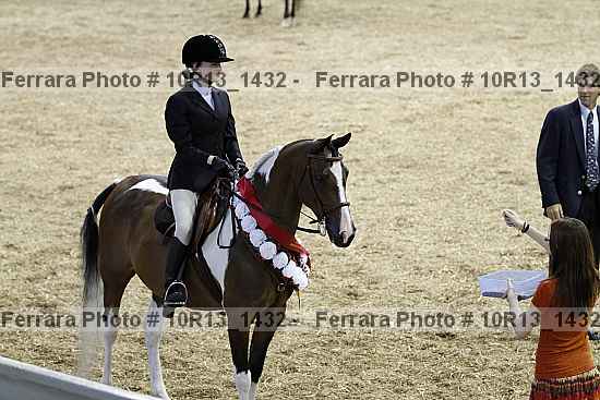 Proof Number 10r13_1432
