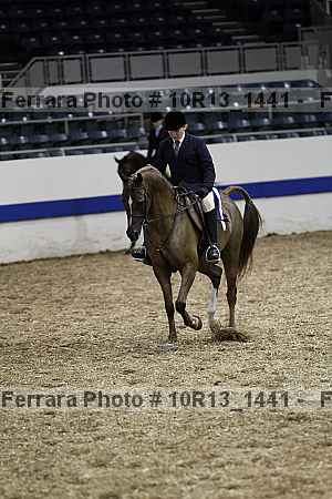 Proof Number 10r13_1441