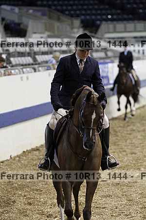 Proof Number 10r13_1444
