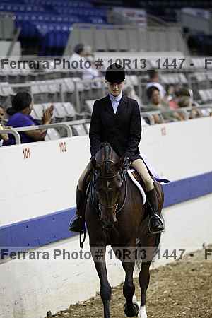 Proof Number 10r13_1447