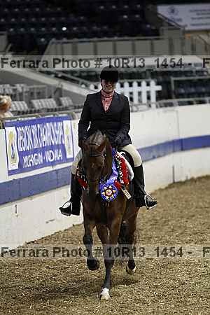 Proof Number 10r13_1454