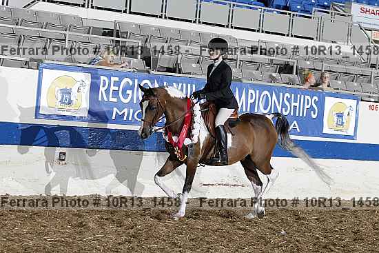 Proof Number 10r13_1458