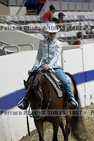 Proof Number 10r13_1487