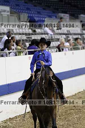Proof Number 10r13_1494