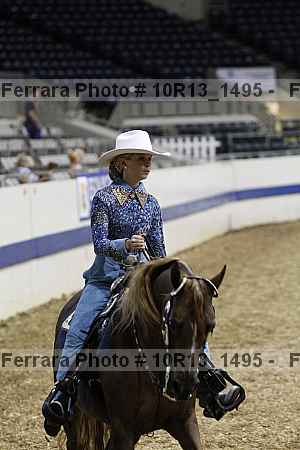 Proof Number 10r13_1495