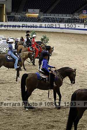 Proof Number 10r13_1503