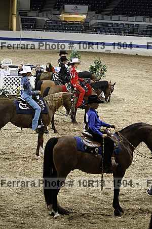 Proof Number 10r13_1504