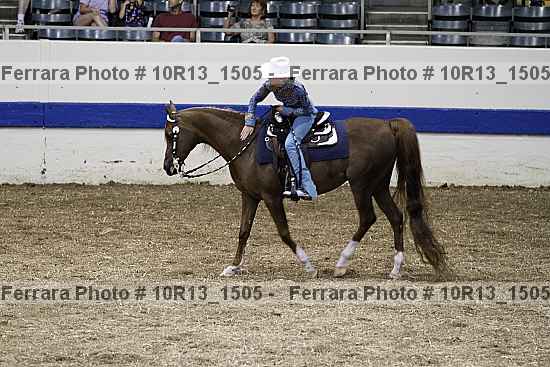 Proof Number 10r13_1505