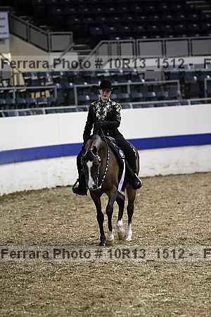 Proof Number 10r13_1512