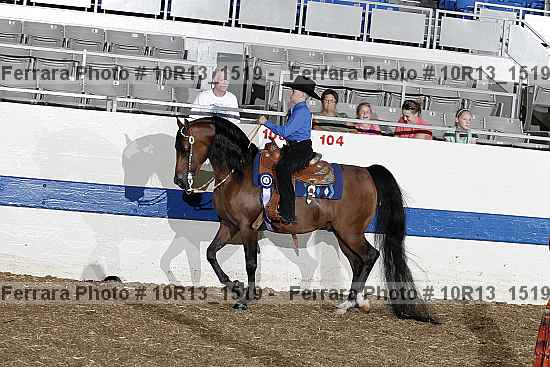 Proof Number 10r13_1519