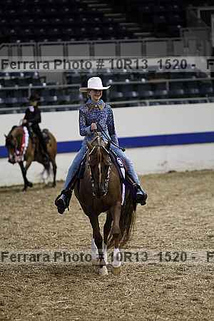 Proof Number 10r13_1520