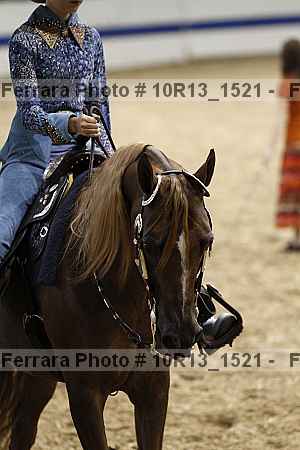 Proof Number 10r13_1521