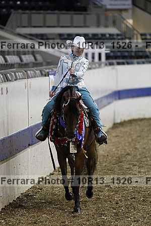 Proof Number 10r13_1526