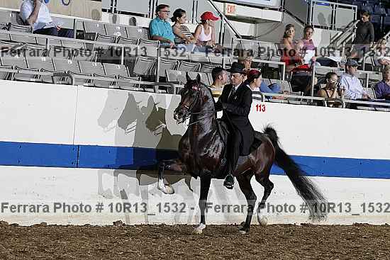 Proof Number 10r13_1532