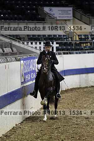 Proof Number 10r13_1534