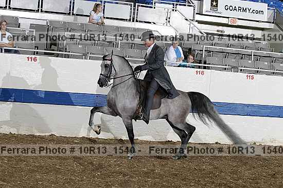 Proof Number 10r13_1540