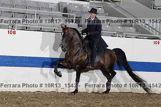 Proof Number 10r13_1542