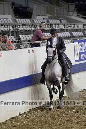 Proof Number 10r13_1543
