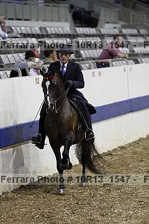 Proof Number 10r13_1547